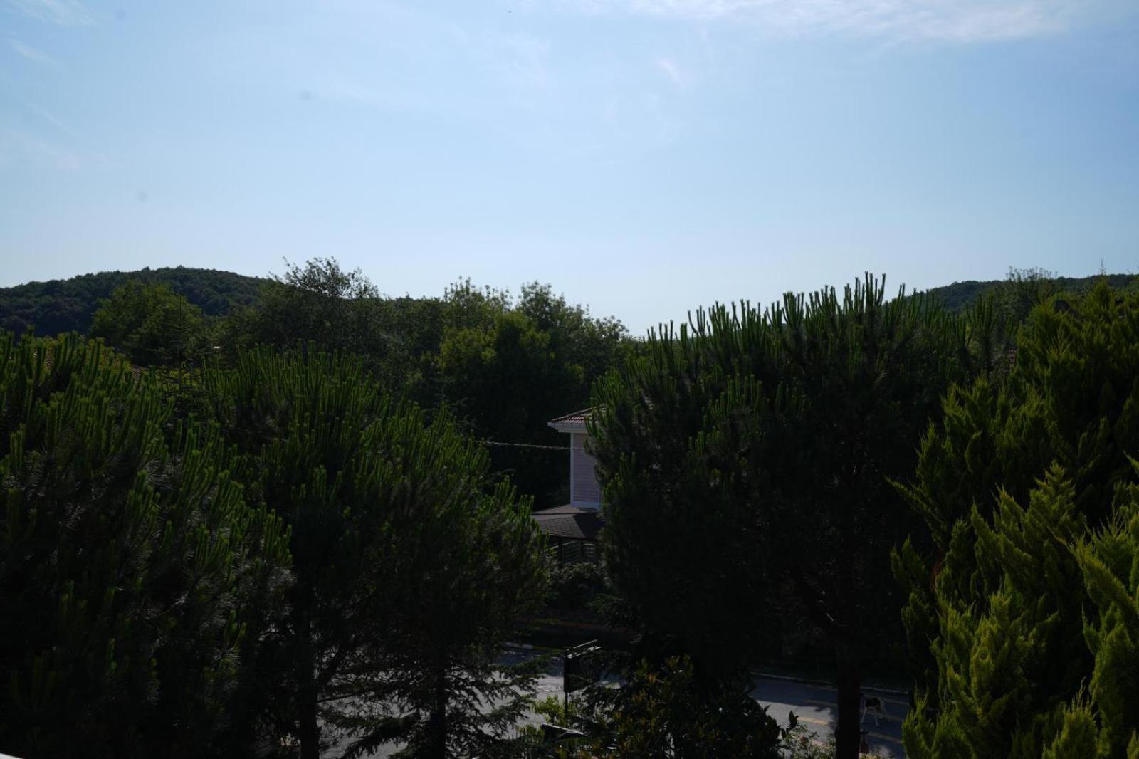 Butterfly Boutique Hotel Agva Exterior photo